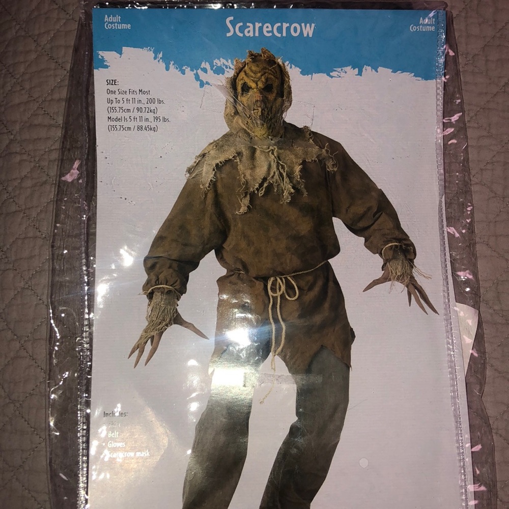 Scarecrow costume